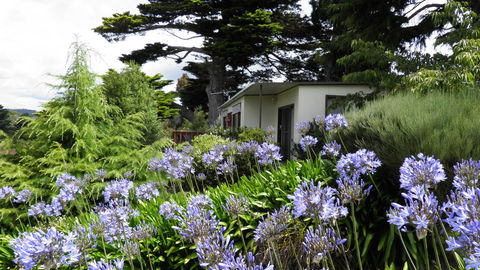 Tamar River Retreat - Tourism Hervey Bay 28