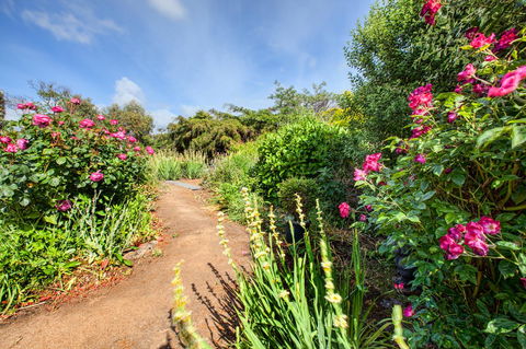 Wagners Cottages - Hervey Bay Accommodation 30