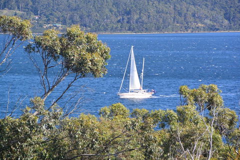 The Tree House - Hervey Bay Accommodation 5