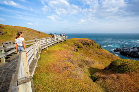 BIG4 Ingenia Holidays Phillip Island - Tourism Hervey Bay 19