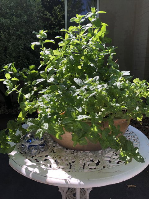 Flora Hill Creek Views - Hervey Bay Accommodation 11