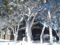 Book Dinner Plain Accommodation Vacations Hervey Bay Accommodation Hervey Bay Accommodation