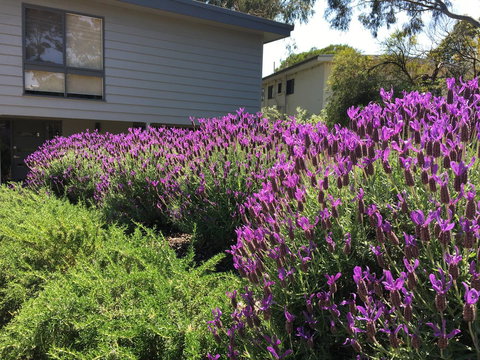 Kookas Retreat - Hervey Bay Accommodation 14