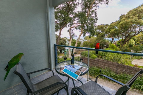 Lorne Surf Apartments - Hervey Bay Accommodation 21