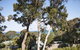 Lorne Surf Apartments - thumb 6