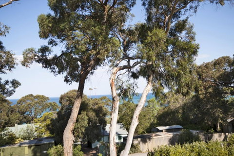 Lorne Surf Apartments - Hervey Bay Accommodation 6