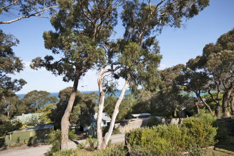 Lorne Surf Apartments - Hervey Bay Accommodation 11