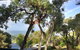 Lorne Surf Apartments - thumb 4