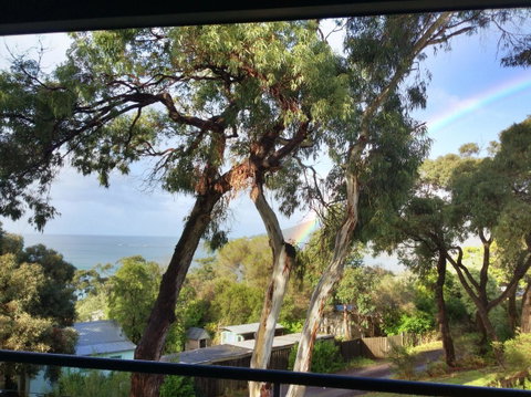 Lorne Surf Apartments - Hervey Bay Accommodation 4