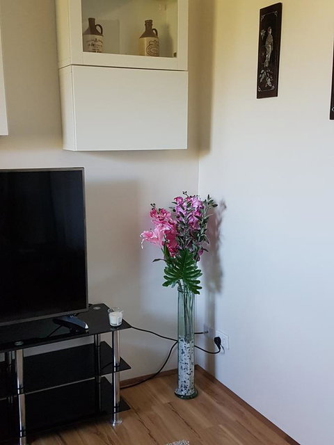 Romsey Homestay - Tourism Hervey Bay 8