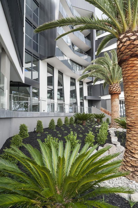 Caroline Serviced Apartments Sandringham - Hervey Bay Accommodation 3