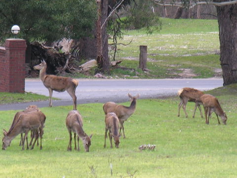 The Grampians Motel - Tourism Hervey Bay 23