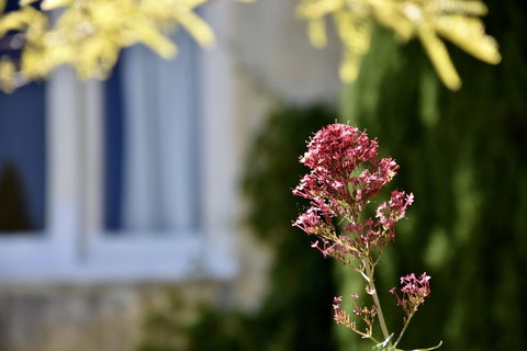 Villa Mallorca - Hervey Bay Accommodation 28