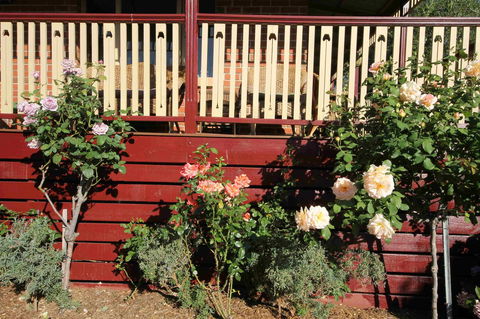 Oxford Rise Apartment - Hervey Bay Accommodation 21