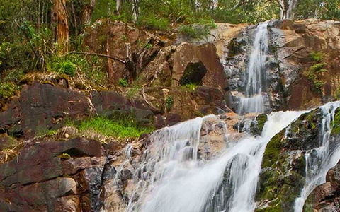 Marysville Caravan And Holiday Park - Tourism Hervey Bay 37
