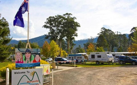 Marysville Caravan And Holiday Park - Tourism Hervey Bay 34