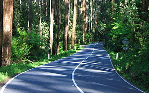 Marysville Caravan And Holiday Park - Tourism Hervey Bay 40