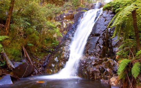 Marysville Caravan And Holiday Park - Tourism Hervey Bay 32