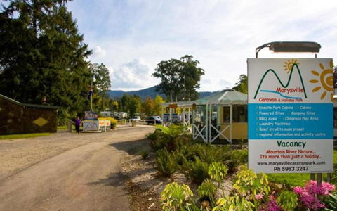 Marysville Caravan And Holiday Park - Tourism Hervey Bay 33
