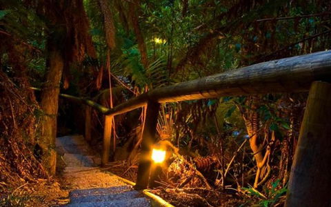 Marysville Caravan And Holiday Park - Tourism Hervey Bay 27