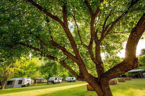 Discovery Parks - Bright - Tourism Hervey Bay 31