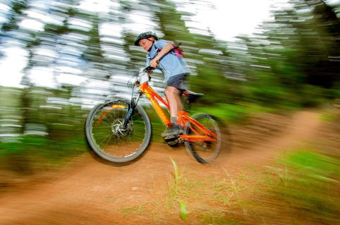 Discovery Parks - Bright - Tourism Hervey Bay 24