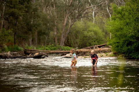 Discovery Parks - Bright - Tourism Hervey Bay 20