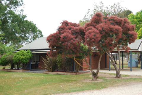 Greenvale Holiday Units - Hervey Bay Accommodation 9