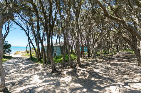 Blairgowrie Bella - Light Filled Home With Great Deck - Hervey Bay Accommodation 12