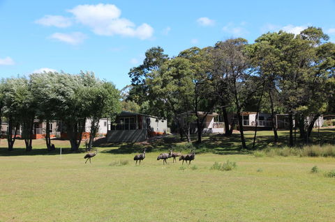 Halls Gap Lakeside Tourist Park - Hervey Bay Accommodation 1