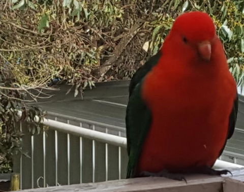 Wilsons Promontory Motel - Tourism Hervey Bay 23