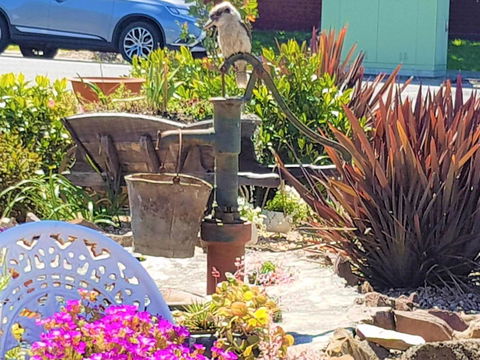 Wilsons Promontory Motel - Tourism Hervey Bay 8