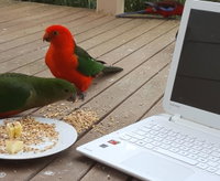 Book Foster Accommodation Vacations Hervey Bay Accommodation Hervey Bay Accommodation
