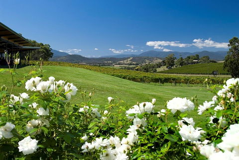 Balgownie Estate Yarra Valley - Hervey Bay Accommodation 36
