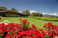 Book Yarra Glen Accommodation Vacations Hervey Bay Accommodation Hervey Bay Accommodation