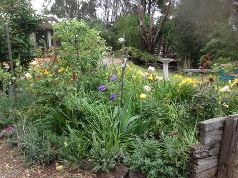 Mud Hollow Barn - Tourism Hervey Bay 15