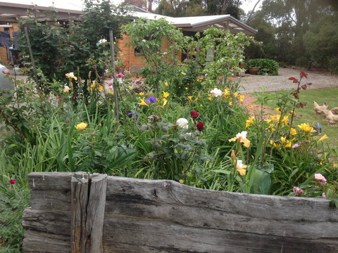 Mud Hollow Barn - Tourism Hervey Bay 12