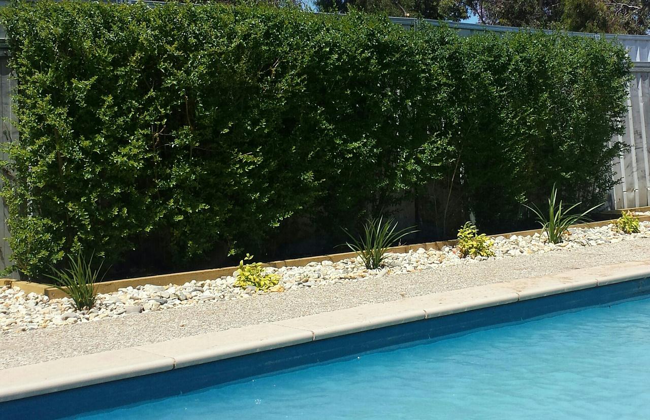 Annuello VIC Hervey Bay Accommodation