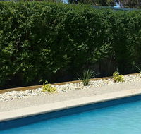Robinvale Bridge Motel - Tourism Hervey Bay