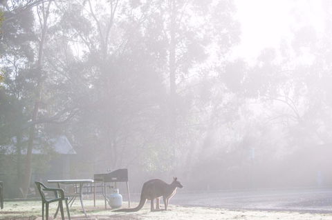 Gariwerd Motel - Hervey Bay Accommodation 18