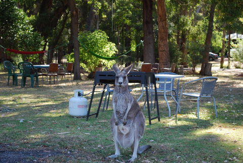 Gariwerd Motel - Hervey Bay Accommodation 26