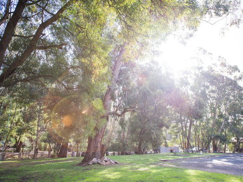 Gariwerd Motel - Hervey Bay Accommodation 7