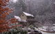 Shady Brook Cottages - thumb 24