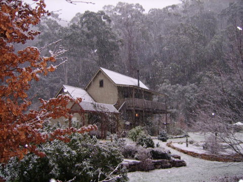 Shady Brook Cottages - Hervey Bay Accommodation 24