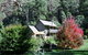 Shady Brook Cottages - thumb 7