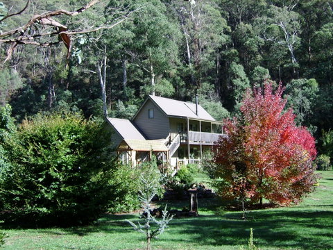 Shady Brook Cottages - Hervey Bay Accommodation 7