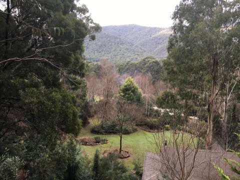 Shady Brook Cottages - Hervey Bay Accommodation 18