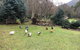 Shady Brook Cottages - thumb 17