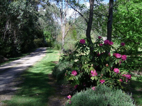 Shady Brook Cottages - Hervey Bay Accommodation 15