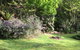 Shady Brook Cottages - thumb 6